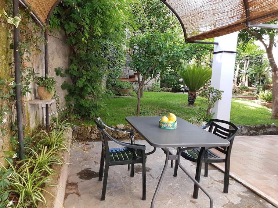 Giardino Mediterraneo Lacco Ameno  Exterior foto