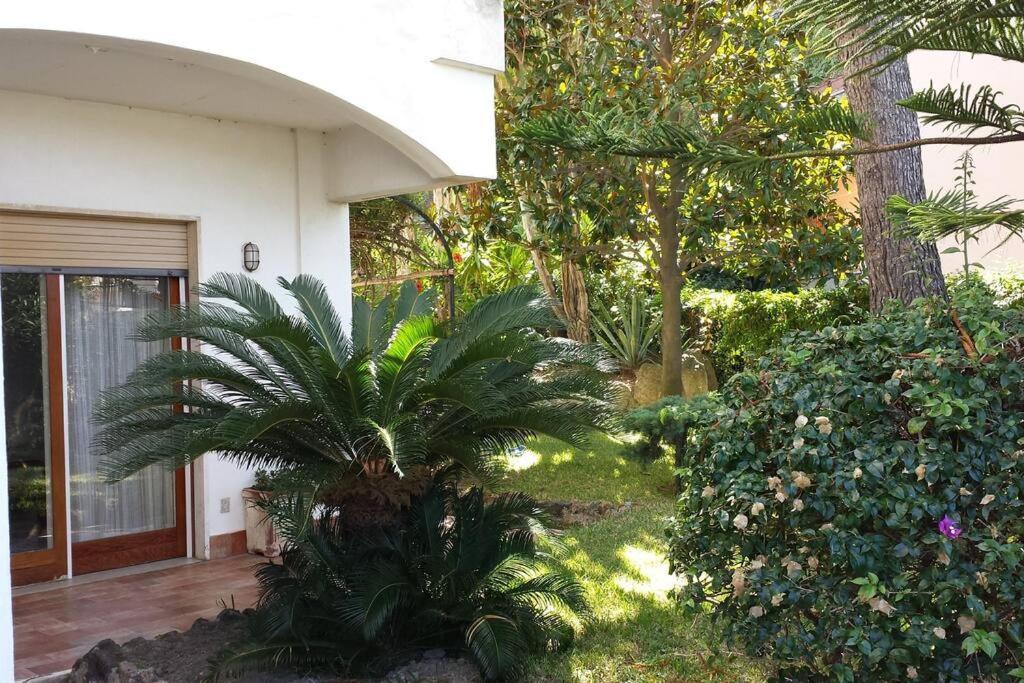 Giardino Mediterraneo Lacco Ameno  Exterior foto